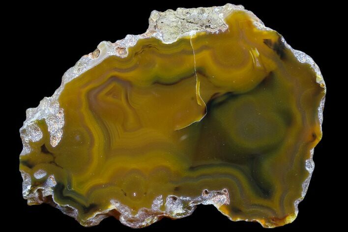 Beautiful Condor Agate From Argentina - Slab #79486